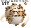 Компания Delicar Trans Express DTE Строительство и Ремонт