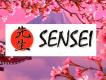 Компания Кондиционеры SENSEI Строительство и Ремонт