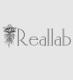 Компания Reallab, студія архітектури та дизайну Строительство и Ремонт